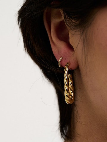 Orelia Earrings in Gold