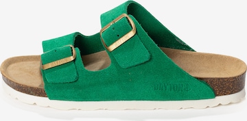 Bayton Pantolette 'Atlas' in Grün: Vorderseite