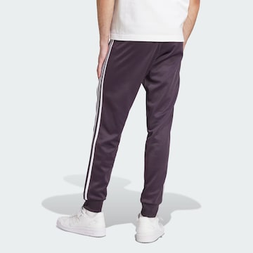 ADIDAS ORIGINALS Tapered Hose in Lila