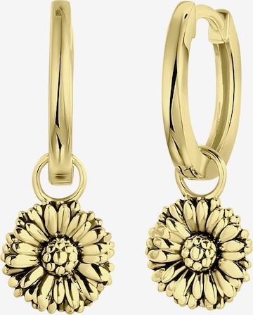 Lucardi Earrings in Gold: front