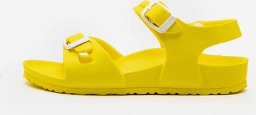 BIRKENSTOCK Open schoenen 'Rio Eva' in Geel: voorkant