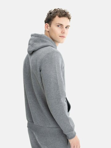 Arma Sweatshirt in Grau