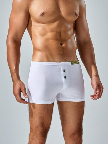 TAUWELL Boxer shorts in White