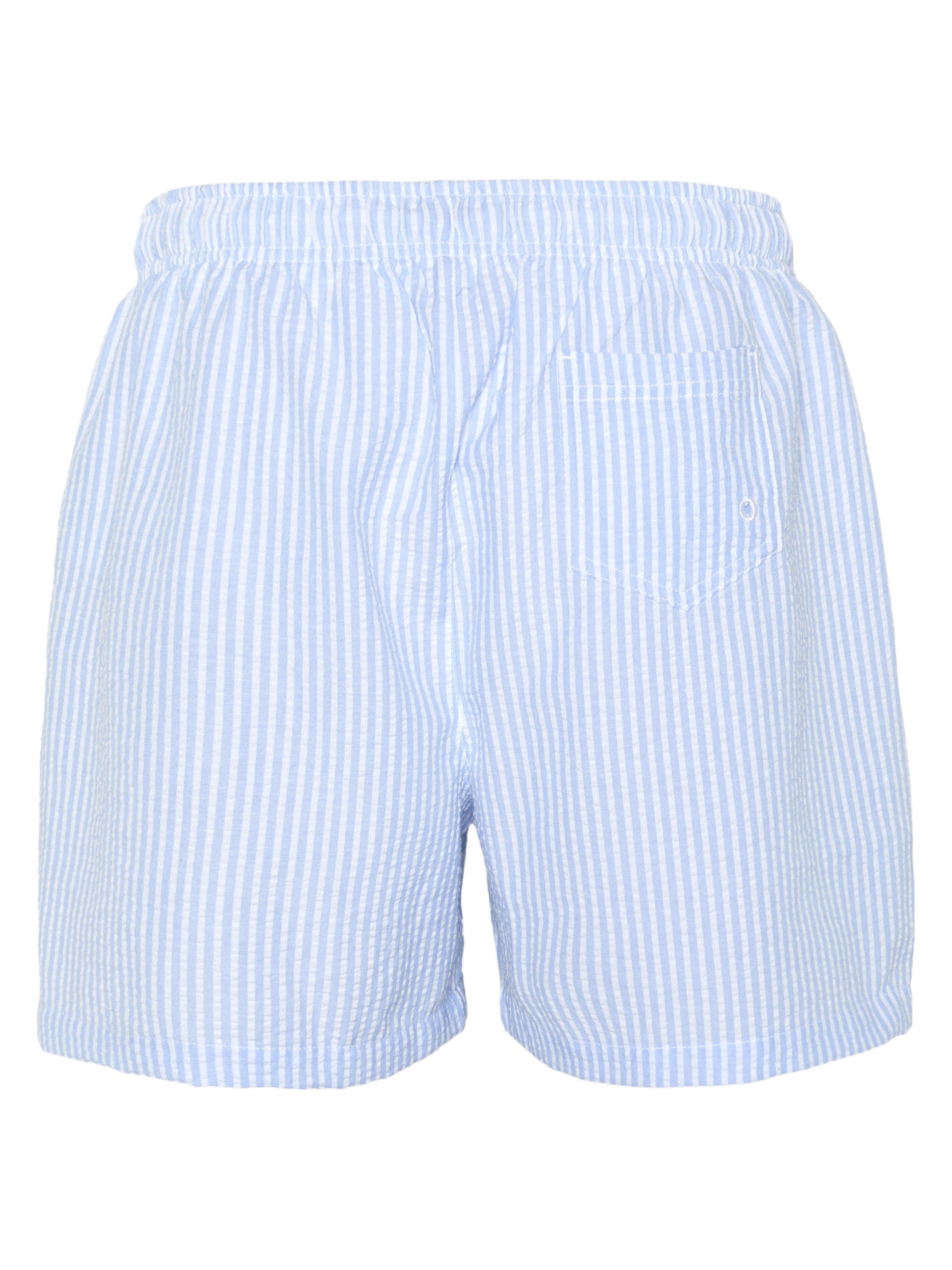 CHIEMSEE Board Shorts in Blue