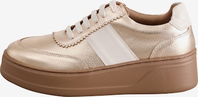 Next Sneaker in beige / gold, Produktansicht