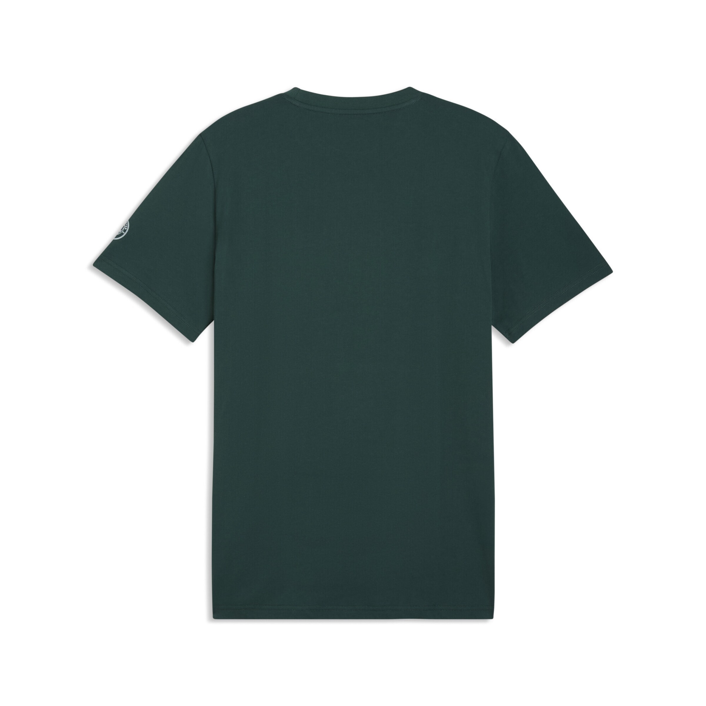 PUMA Funktionsshirt 'Manchester City' in Grün