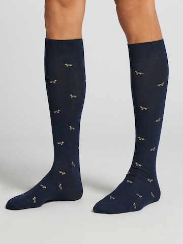 IUMAN Intimissimi Socken in Blau
