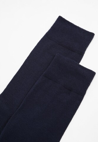 Albert Schäfer Socks in Blue