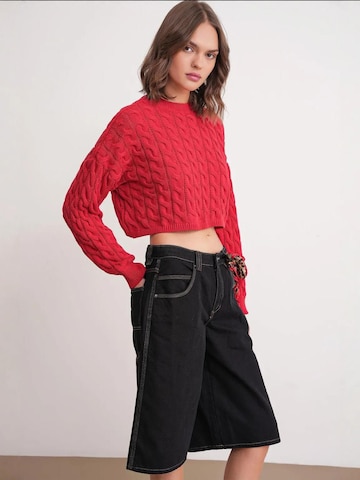 Pullover 'Pullover' di MixRay in rosso