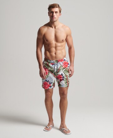 Superdry Zwemshorts in Wit