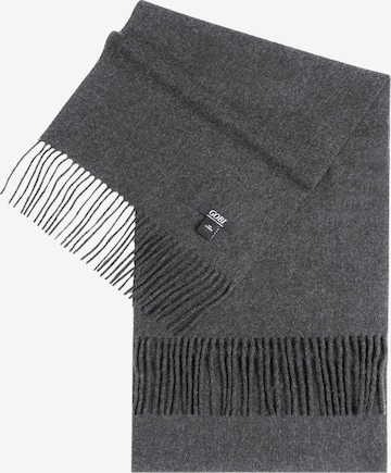 Écharpe GOBI Cashmere en gris : devant