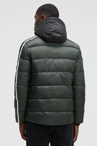 CAMP DAVID Winter Jacket in Green