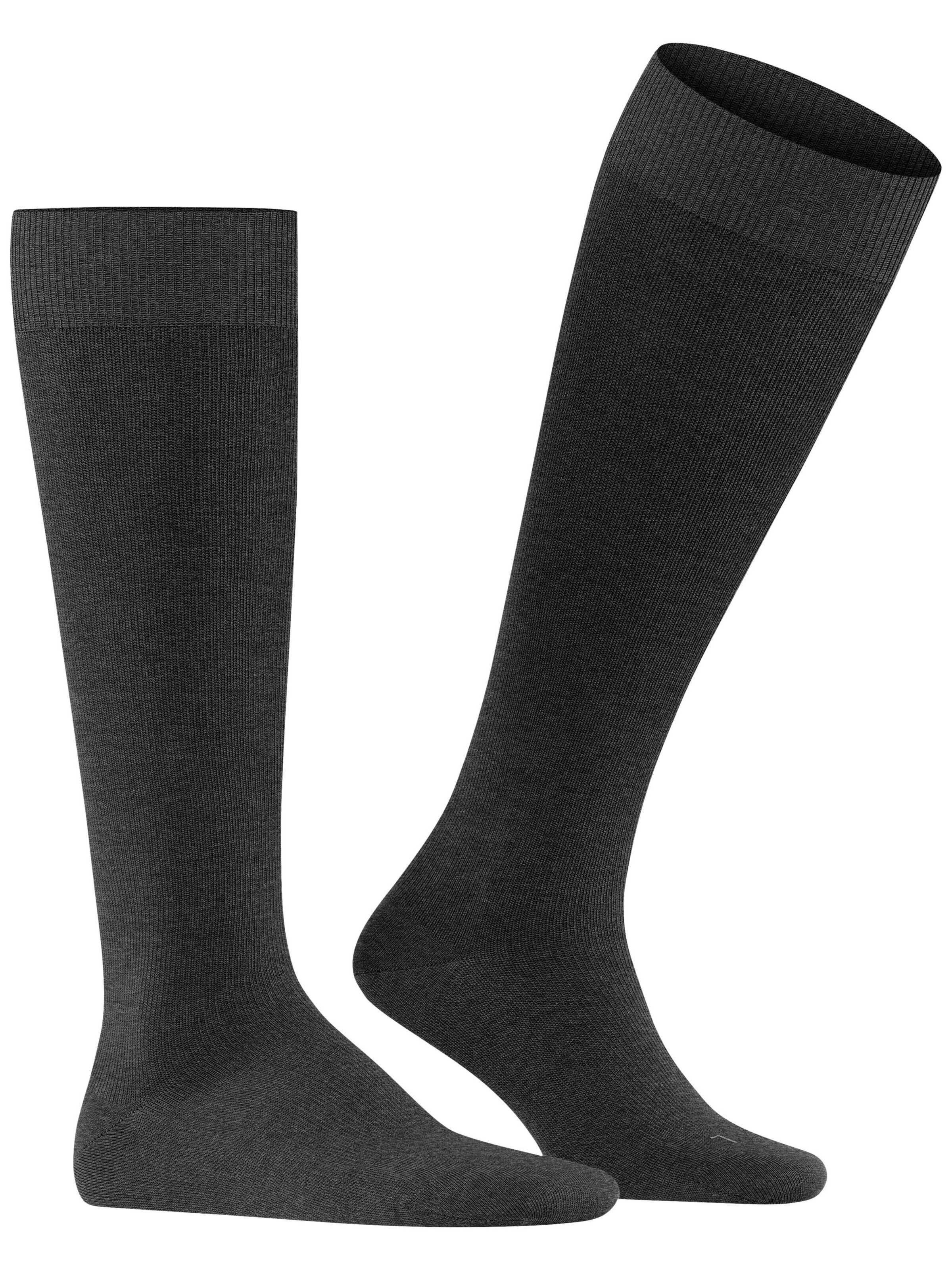 FALKE Knee High Socks 'Energizing Wool' in Grey