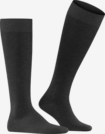 FALKE Knee High Socks 'Energizing Wool' in Grey: front