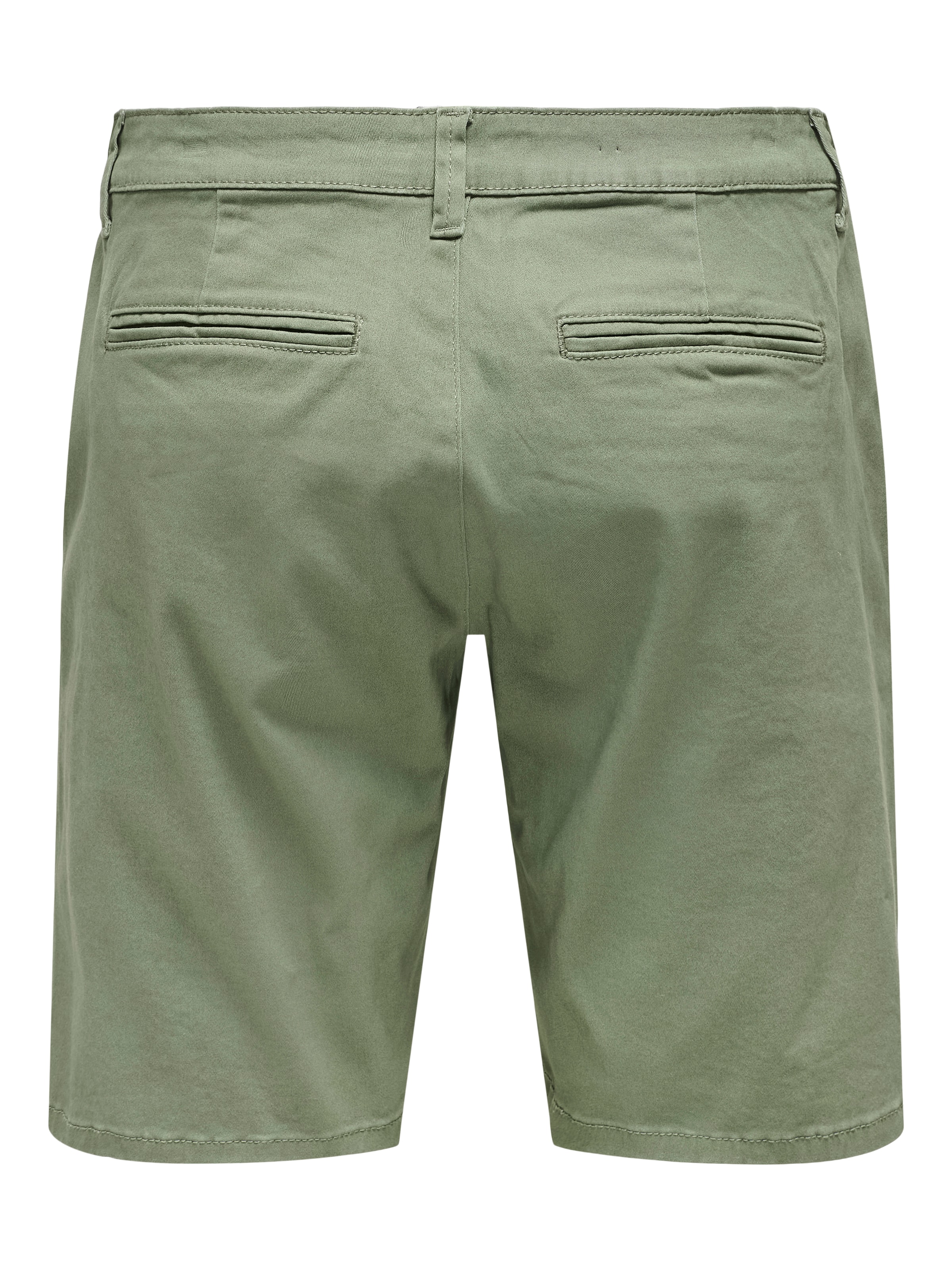 Only & Sons Обычный Брюки-чинос 'ONSCAM' в Зеленый