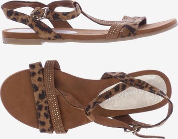MARCO TOZZI Sandals & High-Heeled Sandals in 37 in Brown: front