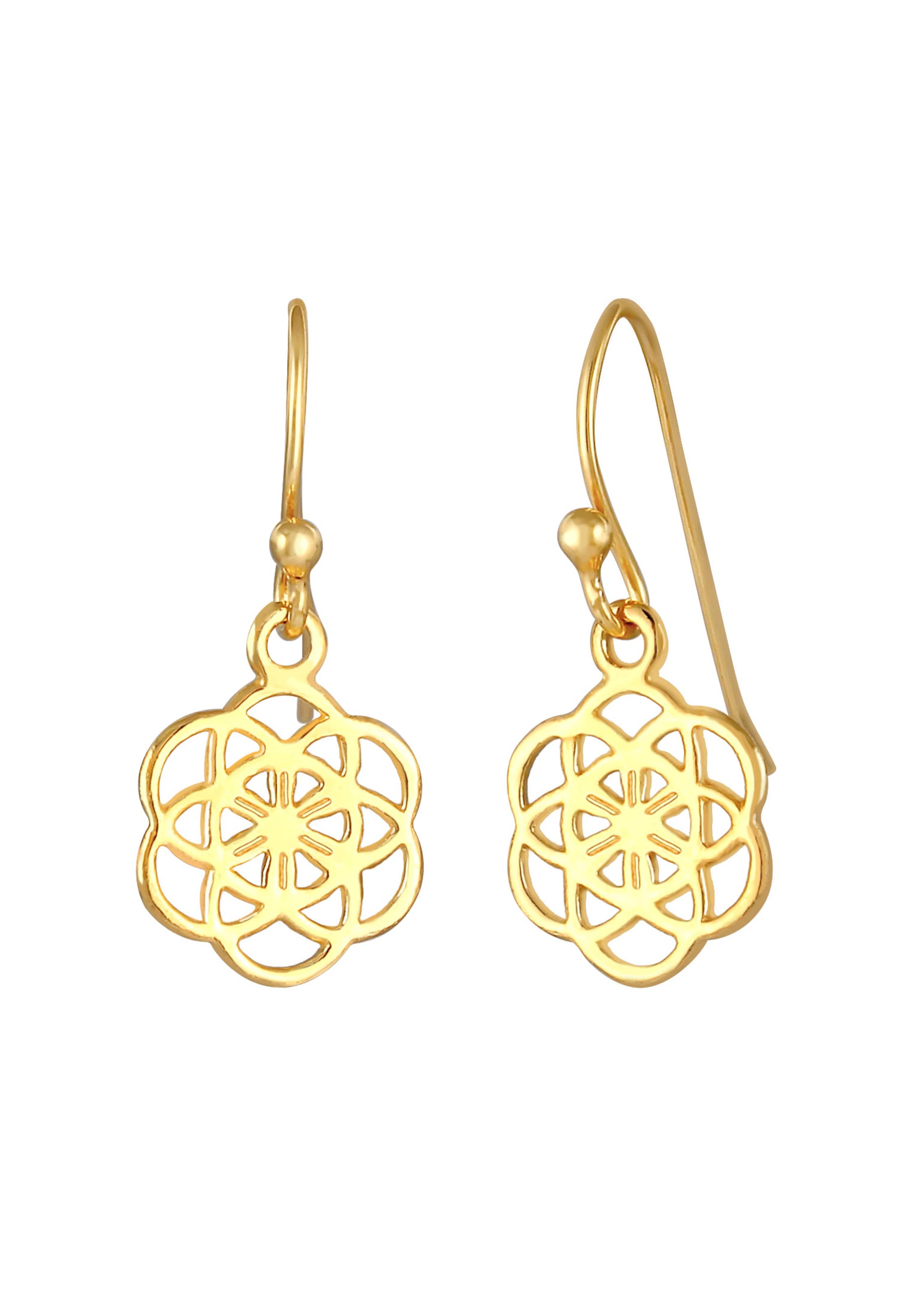 Nenalina Oorbellen in Goud: voorkant