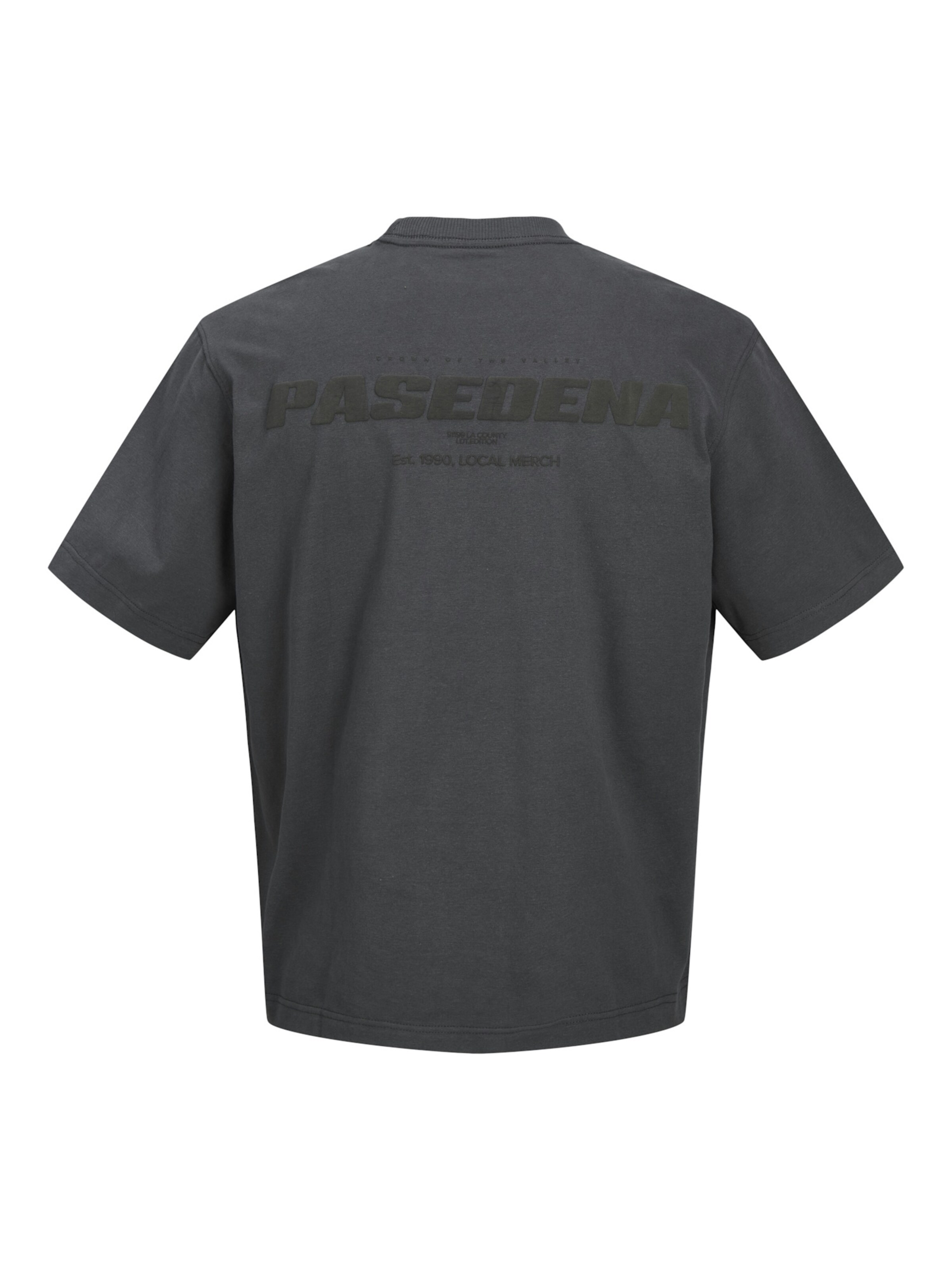 Maglietta 'Interlude Easter' di Jack & Jones Junior in grigio