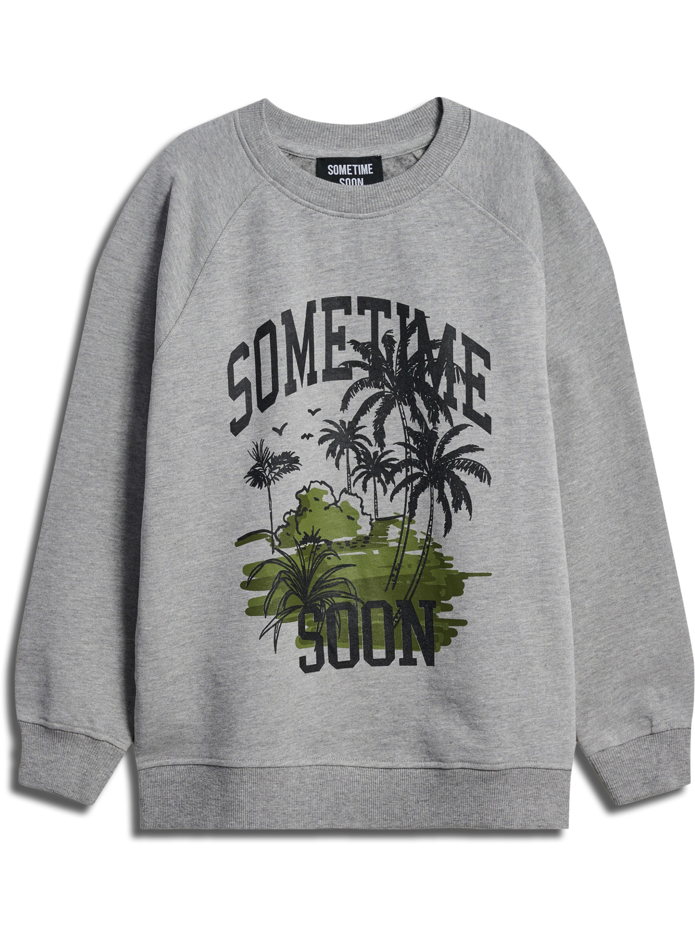 SOMETIME SOON Sweatshirt in Grey: front