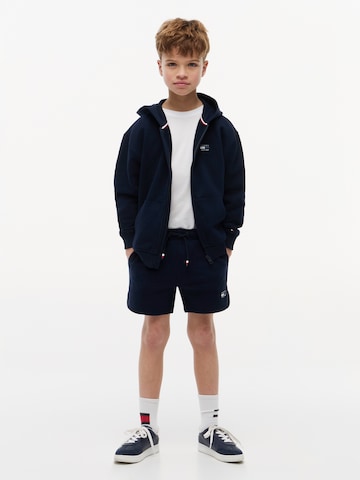 TOMMY HILFIGER Regular Trousers in Blue