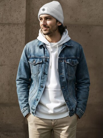 Neverless Beanie 'Windrose' in Grey