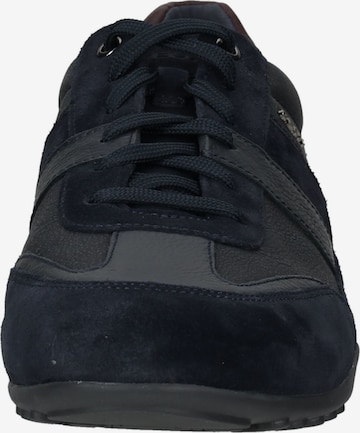 GEOX Sneaker in Blau