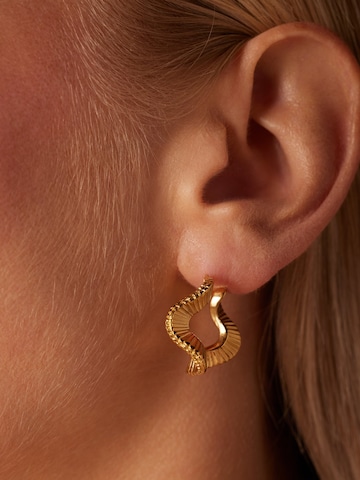 Boucles d'oreilles Lucardi en or : devant