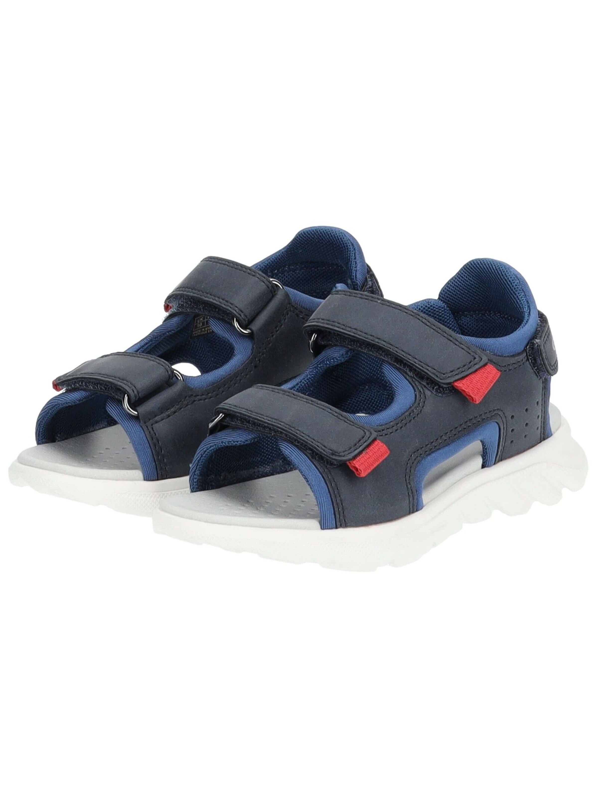 GEOX Sandale in Blau