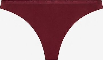 Calvin Klein Underwear String in Lila: Vorderseite