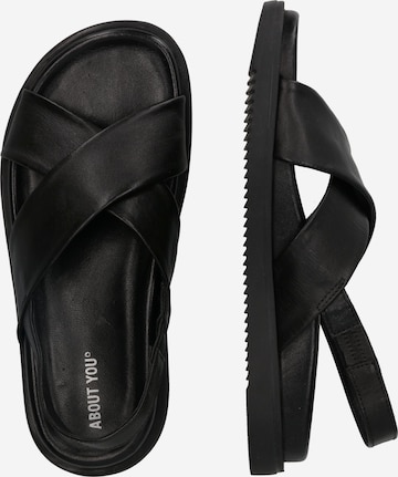 ABOUT YOU Sandals 'Kayra' in Black