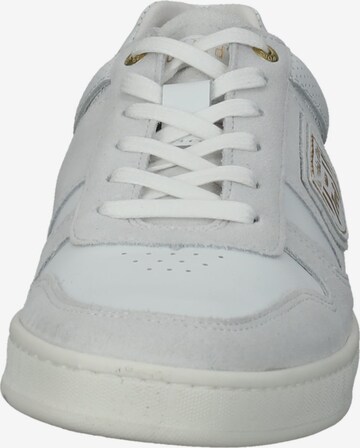 PANTOFOLA D'ORO Sneakers 'Palermo' in Grey