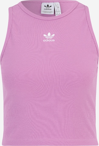ADIDAS ORIGINALS Top Essentials in Purple ABOUT YOU