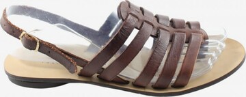 Jonak Sandals & High-Heeled Sandals in 36 in Brown: front
