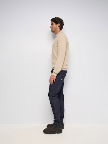 Salsa Jeans Slim fit Jeans in Blue