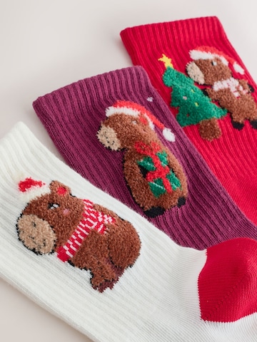 Chaussettes Next en mélange de couleurs