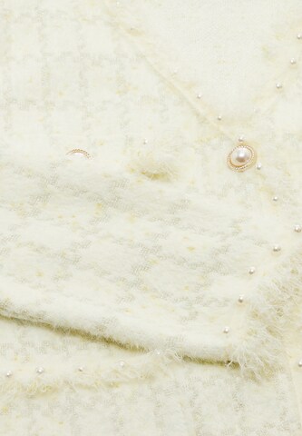 ZITHA Gebreid vest in Wit