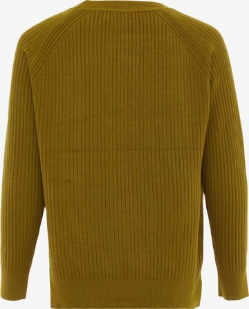 carato Pullover in Grün