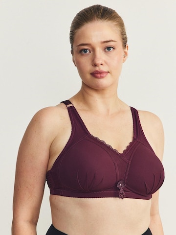 Bustier Soutien-gorge C&City en violet