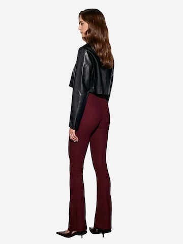 Dilvin Flared Leggings 'Gamaschen' in Red