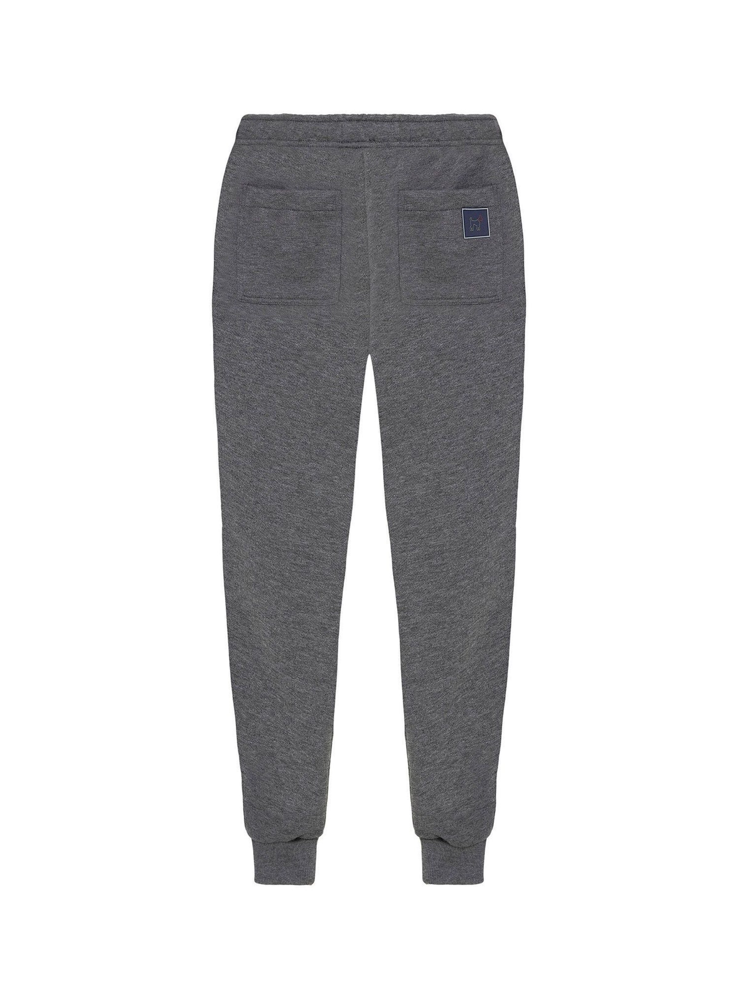 Williot Конический (Tapered) Штаны в Серый