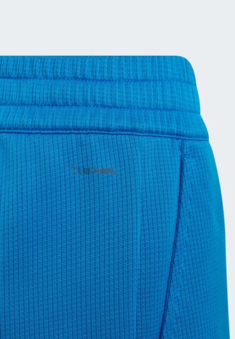 regular Pantaloni sportivi 'Classics' di ADIDAS PERFORMANCE in blu