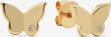 Guido Maria Kretschmer Jewellery Earrings in Gold: front