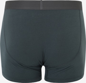 Abercrombie & Fitch Boxershorts i blandade färger