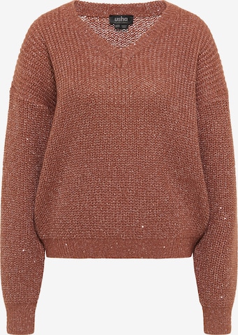 Pull-over usha BLACK LABEL en bronze : devant