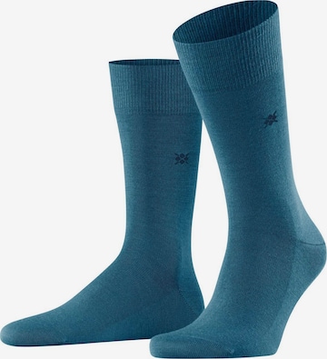 BURLINGTON Socks in Blue: front