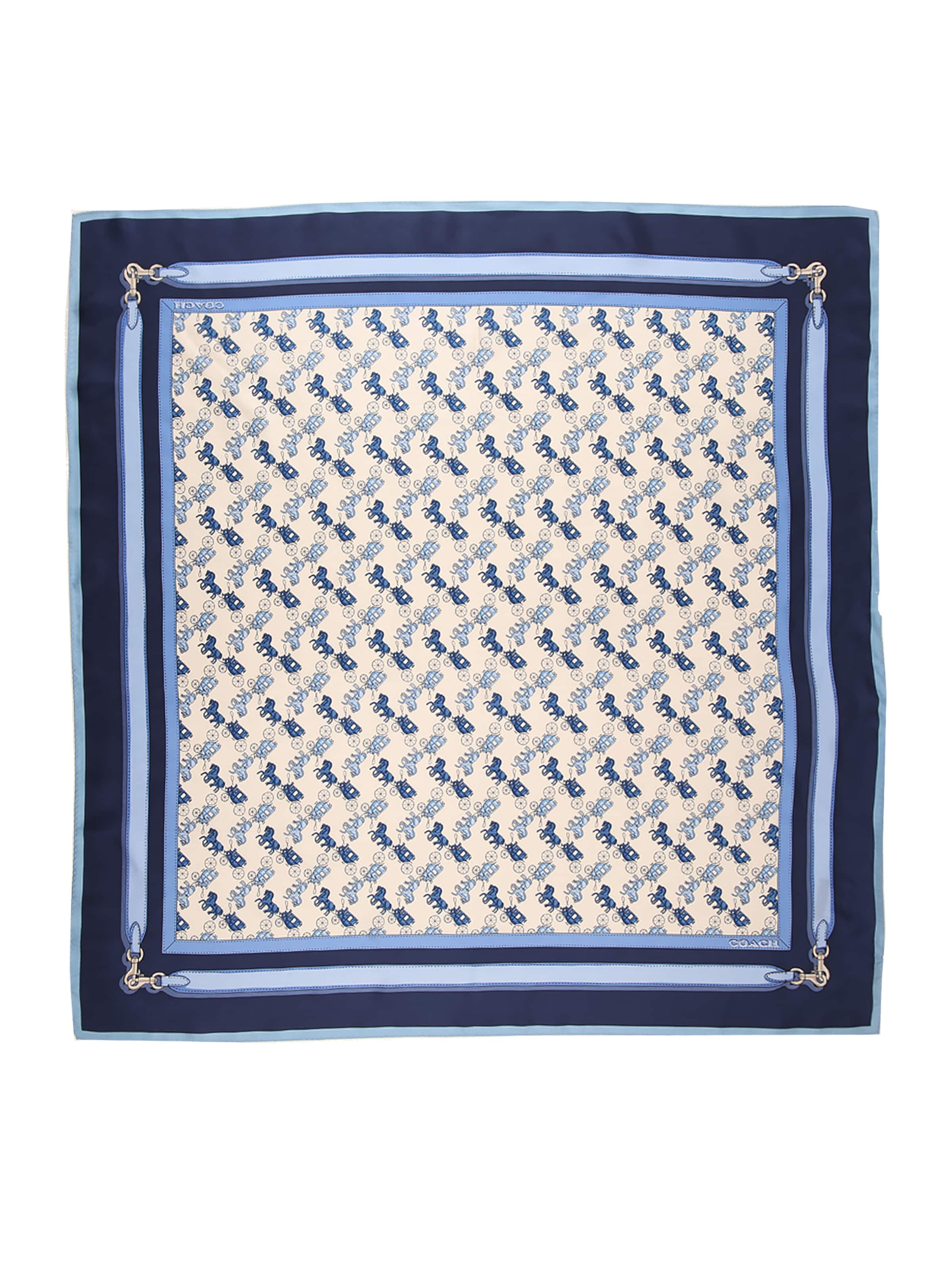 zils COACH Lakats: no priekšpuses