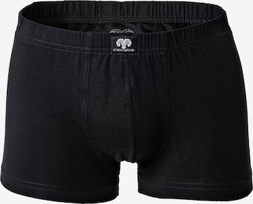 CECEBA Boxershorts in Schwarz