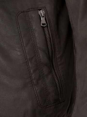 MADDOX Between-Season Jacket 'Mattis' in Brown