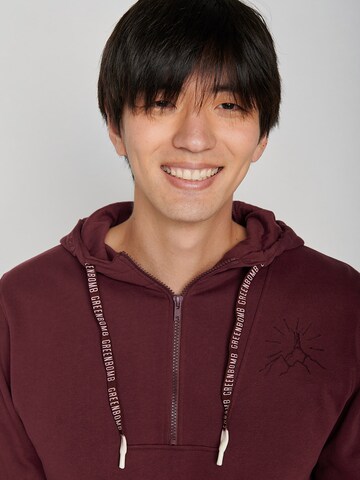 Felpa 'Nature Mountain Sun' di GREENBOMB in rosso