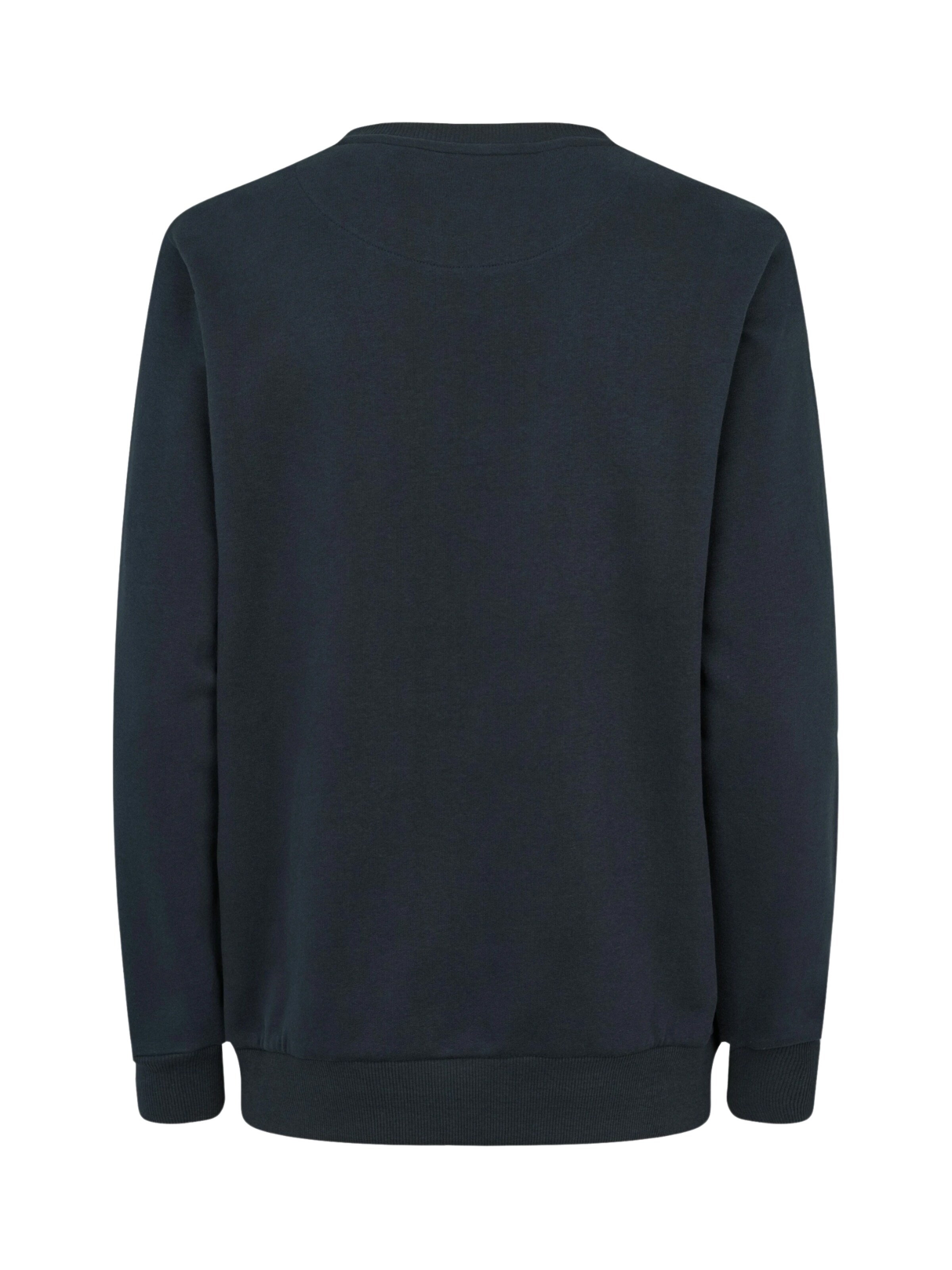 U.S. POLO ASSN. Collegepaita 'Helen' värissä sininen